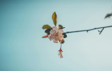 AI Dependency is Looming